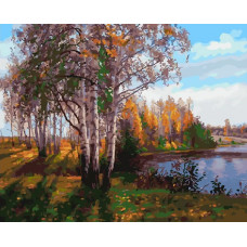 Картина по номерам ВанГогВоМне Березовая роща, 40x50