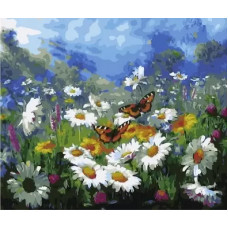 Картина по номерам на подрамнике 40х50 Запах цветов. Paintboy. GX34089