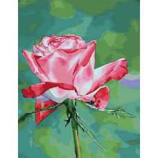 Живопись по номерам Paintboy Цветение розы 40x50