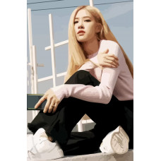 Живопись по номерам Бруталити BLACKPINK Kpop Rose - 981