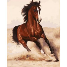 Картина по номерам Белоснежка Галоп, 30x40