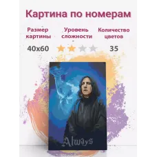 Картина по номерам Раскрасим сами Гарри Поттер Северус Снегг на подрамнике 30х40 см