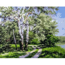 Картина по номерам Цветной Березы, 30x40