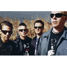 Картина по номерам Бруталити The Offspring 5 см