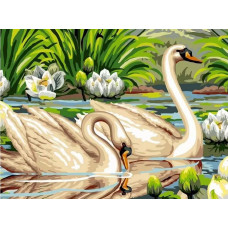 Картина по номерам Цветной Лебеди и лотосы, 30x40 см