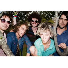 Картина по номерам Бруталити Tame Impala 7 см