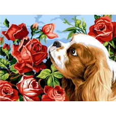 Картина по номерам Цветной Кокер-спаниель и розы, 30x40