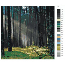 Картина по номерам BRUSHES-PAINTS Свет в лесу H52 40x40 см Картина по номерам BRUSHES-PAINTS Свет в лесу H52 40x40 см