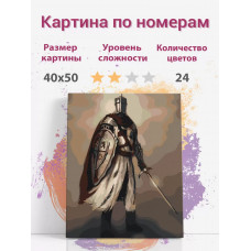 Картина по номерам Раскрасим сами Крестоносец Рыцарь 2 холст на подрамнике 40х50 см Картина по номерам Раскрасим сами Крестоносец Рыцарь 2 холст на подрамнике 40х50 см