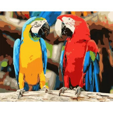Картина по номерам 40х50см, Colibri - Птицы, VA-0480