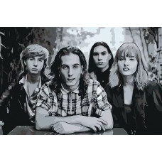 Картина по номерам Живопись по Номерам «Группа Maneskin Манескин 11» maneskin-027 Картина по номерам Живопись по Номерам «Группа Maneskin Манескин 11» maneskin-027