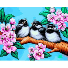 Картина по номерам Paintboy На цветущей ветке, 40x50 см