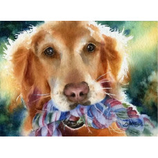 Картина по номерам Paintboy Корби, 40x50 см