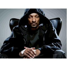 Картина по номерам Бруталити Snoop Dogg 372 на холсте 40x30