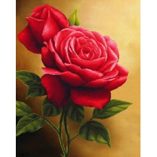 Картина по номерам Красная роза, 40*50 см