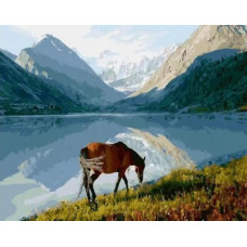 Картина по номерам Molly На водопое, 40x50