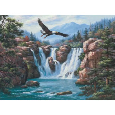 Картина по номерам Цветной Парящий орел, 40x50 см