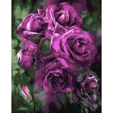 Картина по номерам Цветной Сиреневые розы, 40x50