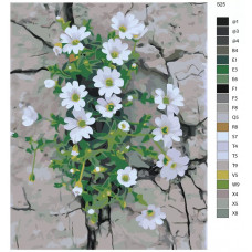 Живопись по номерам BRUSHES-PAINTS Гипсофила ясколковидная Живопись по номерам BRUSHES-PAINTS Гипсофила ясколковидная