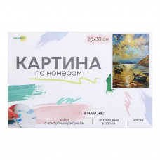 Картина по номерам ХоббиХит 20 х 30 см в ассортименте (дизайн по наличию)