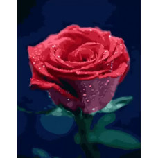 Живопись по номерам Paintboy Красота розы 40х50