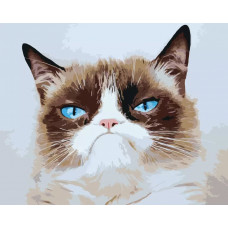Картина по номерам «Мем: Grumpy cat / Грампи кэт, грустный кот», memes-013