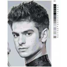 Живопись по номерам BRUSHES-PAINTS Шон Мендес