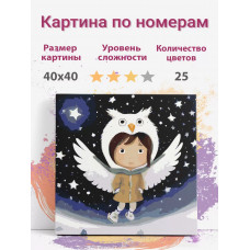 Картина по номерам Раскрасим сами Девочка птица - сова на подрамнике 40х40 см