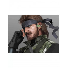 Картина по номерам Бруталити Metal Gear Solid 3 на холсте 40x30