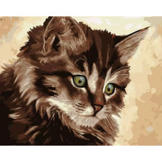 Живопись по номерам Фрея Милый котенок 40x50