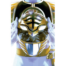 Живопись по номерам Бруталити Сериал Power Rangers 5675