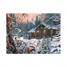 Картина по номерам красками, 40*50 см, GX2524 Зимняя сказка