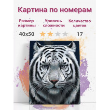 Картина по номерам Раскрасим сами AT1S холст на подрамнике 40х50 см