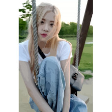 Живопись по номерам Бруталити BLACKPINK Kpop Rose - 967