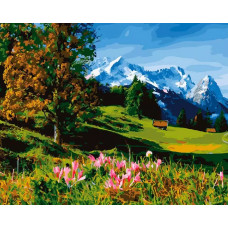Картина по номерам ВанГогВоМне Красная поляна, 40x50