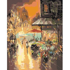 Картина по номерам Живопись по Номерам Яркий свет фонарей, 40x50
