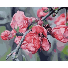 Картина по номерам Цветной Ветка яблони, 40x50 см