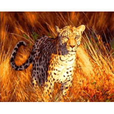 Картина по номерам Paintboy Охотник саванны, 40x50