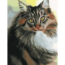 Живопись по номерам Paintboy Пушистый кот 40x50