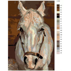 Живопись по номерам BRUSHES-PAINTS Серый мерин