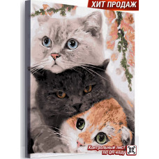 Картина по номерам на холсте с подрамником Три нежных кота NN096 40х50