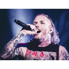 Картина по номерам Бруталити Stone Sour 4 на холсте 40x30