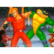 Картина по номерам Бруталити battetoads & double dragon боевые жабы 6542 Г на холсте 30x40