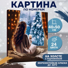 Картина по номерам Школа талантов «Зимние каникулы», с подрамником, 40х50 см Картина по номерам Школа талантов «Зимние каникулы», с подрамником, 40х50 см