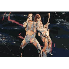 Картина по номерам Живопись по Номерам «Группа Maneskin: Виктория и Дамиано» maneskin-002 Картина по номерам Живопись по Номерам «Группа Maneskin: Виктория и Дамиано» maneskin-002