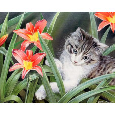 Картина по номерам Paintboy Котенок в цветах, 30x40 см