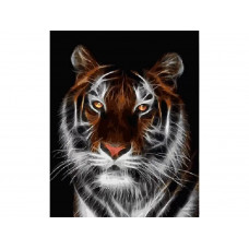 Картина по номерам Paintboy Тигр, 40x50 см