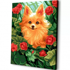 Картина по номерам на холсте ART and Relax Шпиц в саду 40x50