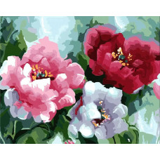 Картина по номерам Paintboy Цветочные оттенки, 30x40 см