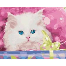 Картина по номерам  Paintboy (Premium) Котик в подарок